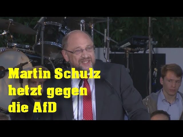 Die SPD verliert täglich an Zustimmung und was macht Schulz? – Natürlich gegen die AfD hetzen