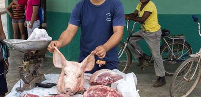 Unbekannte legen Schweinekopf auf Moschee-Baustelle