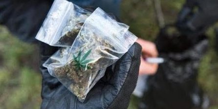 Null-Toleranz-Zone im Görlitzer Park in Berlin wieder abgeschafft – 15g Marihuana straffrei