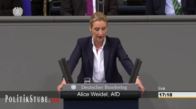 Alice Weidel hält eine fulminante erste Rede im Deutschen Bundestag