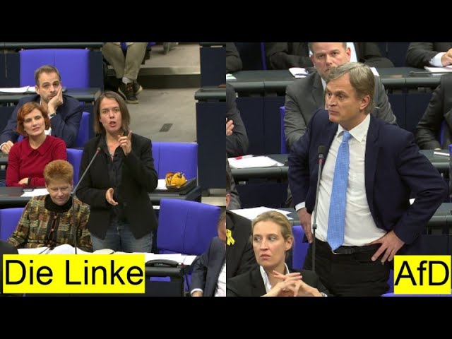 AfD ist rassistisch: Wortgefecht zwischen Baumann (AfD) und Buchholz (Linke) im Bundestag