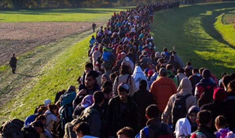 „Der Ansturm wird kommen“: Asyl-Rekord an Österreichs Grenze
