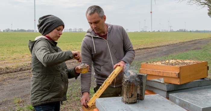 Die EU und natürlich Deutschland erlauben dieses Gift: Glyphosat verunreinigter Honig in Brandenburg muss entsorgt werden