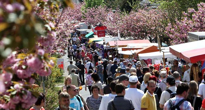 Publikum verändert sich: Kein Baumblütenfest in Werder