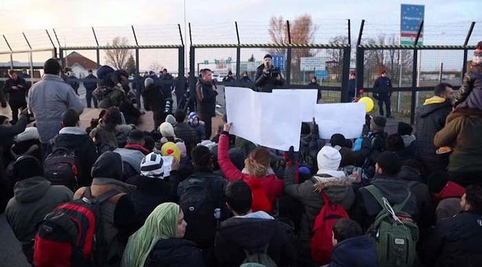 „Wollen nach Deutschland“ –  Hunderte Migranten protestieren an Ungarns Grenze – fordern Einlass