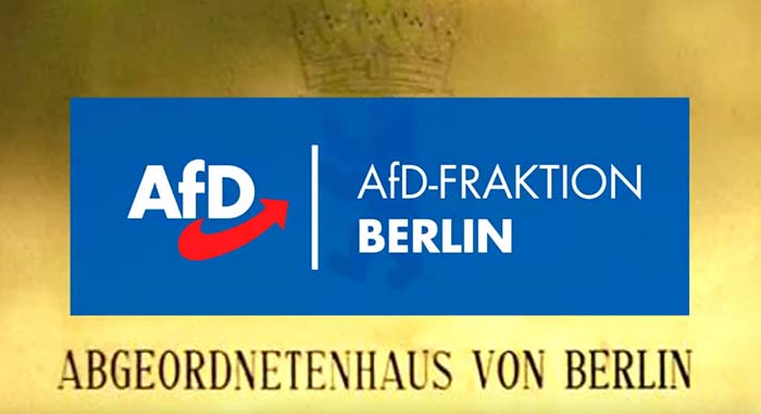 AfD: Demokratienotstand in Berlin