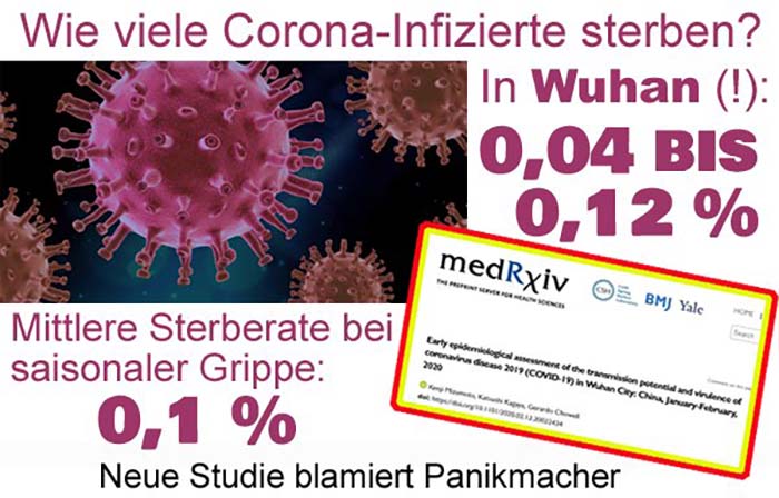 Coronavirus: Neue Studie blamiert Panikmacher!