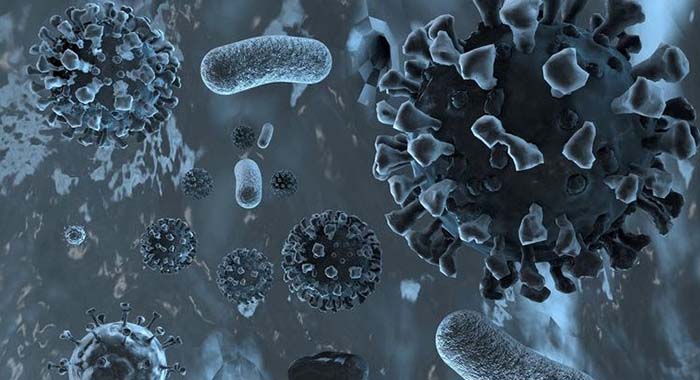 Studie: Coronavirus nicht gefährlicher als Grippe