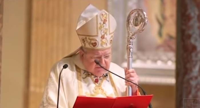 Kardinal warnt: COVID wird für den“Great Reset“ verwendet um „Freiheit“ und „Familien“ anzugreifen