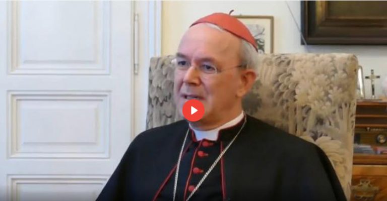 Bischof Schneider: „Sie wollen uns maßregeln wie Kinder“