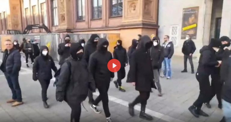 Demo Hamburg 26.2.2022: Vermummte Volltrottel der „Antifa“