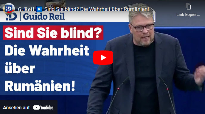 Guido Reil (AfD, MEP): Sind Sie blind? Die Wahrheit über Rumänien!