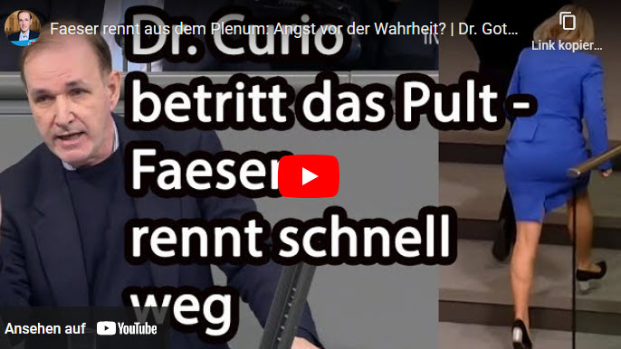 Faeser rennt aus dem Plenum: Angst vor der Wahrheit? | Dr. Gottfried Curio