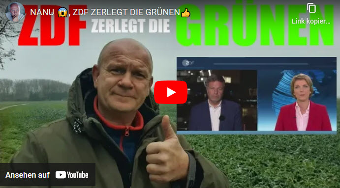 Nanu, ZDF zerlegt die Grünen