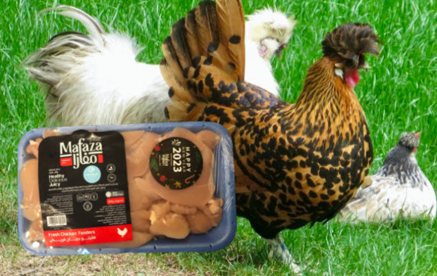 Regierung empfiehlt der Bevölkerung: „Esst Hühnerfüße für billige Proteine“