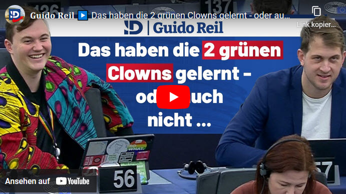 Guido Reil: Das haben die 2 grünen Clowns gelernt – oder auch nicht