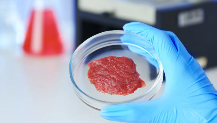 Laborfleisch ist viel “klimaschädlicher” als echtes Fleisch