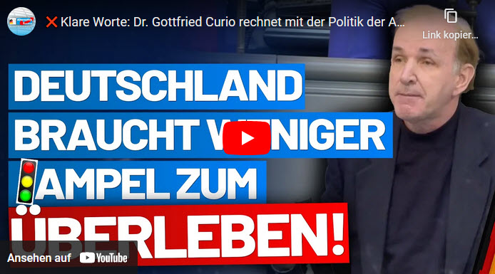 Dr. Curio: Deutschland braucht weniger Ampel zum Überleben!