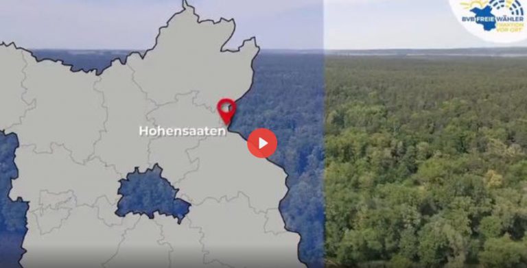 Hohensaaten/Brandenburg: Waldzerstörung für Solarstrom?