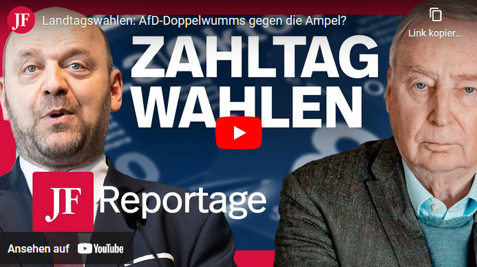 Landtagswahlen: AfD-Doppelwumms gegen die Ampel?
