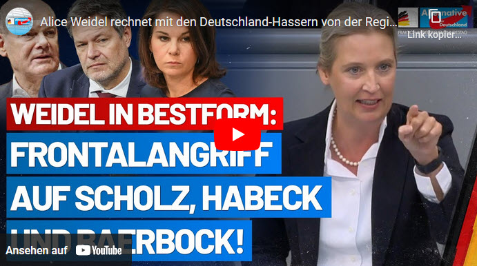 Alice Weidel rechnet mit den Deutschland-Hassern von der Regierung ab!