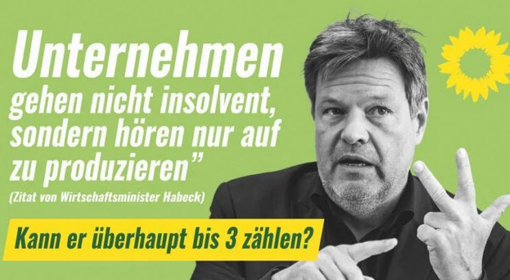 Freispruch! Gericht kassiert Strafbefehl: Diese Anti-Grünen-Plakate sind NICHT strafbar