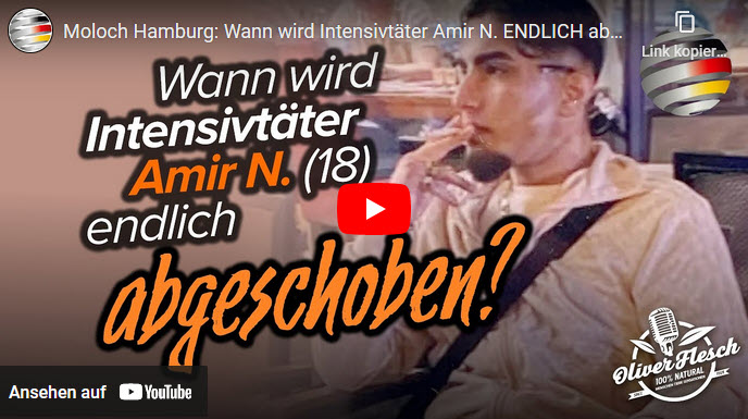 Moloch Hamburg: Wann wird Intensivtäter Amir N. endlich abgeschoben? | Oliver Flesch