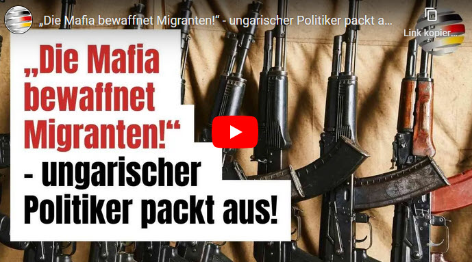 „Die Mafia bewaffnet Migranten!“ – ungarischer Politiker packt aus!